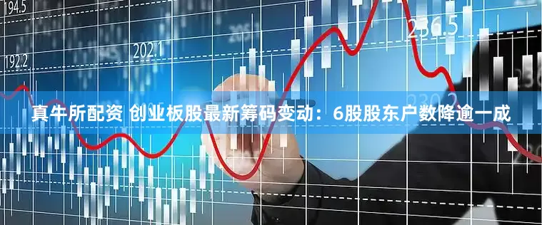 真牛所配资 创业板股最新筹码变动：6股股东户数降逾一成