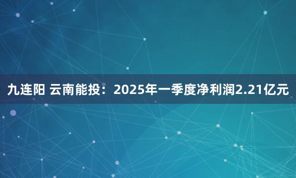 九连阳 云南能投：2025年一季度净利润2.21亿元